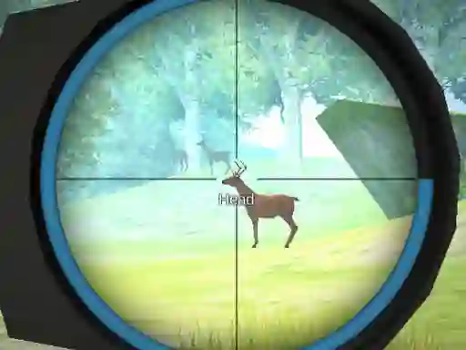 Laro Hunter Training online