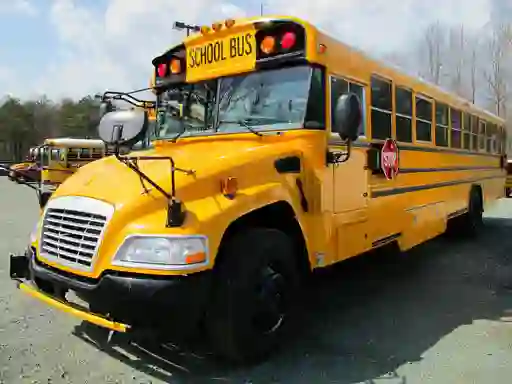 Laro School Buses Puzzle online