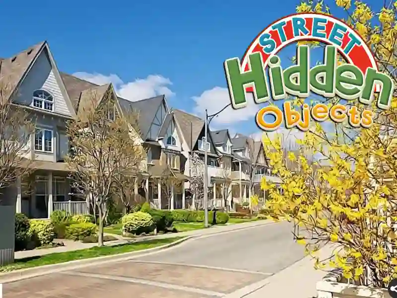 Laro Street Hidden Objects online