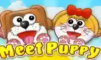 Laro Meet Puppy online