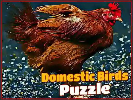 Laro Domestic Birds Puzzle online