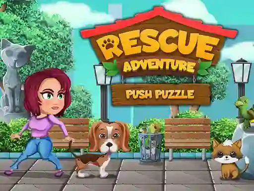 Laro Rescue Adventure Push Puzzle online