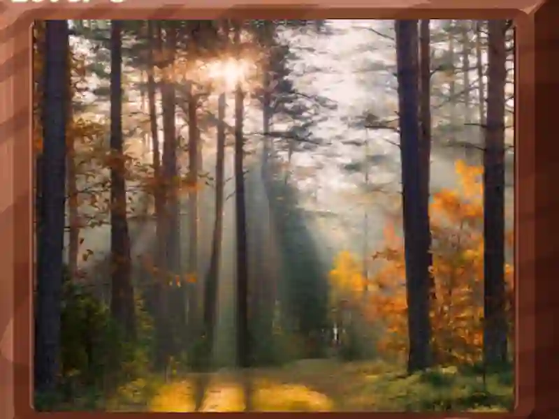 Laro Image Block Puzzle online