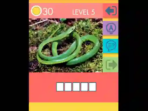 Laro 15 Picture Quiz online