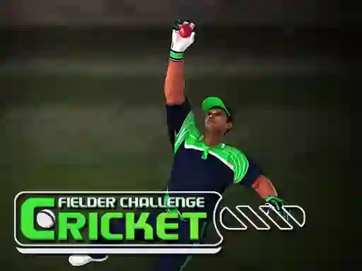 Laro Cricket Fielder Challenge online