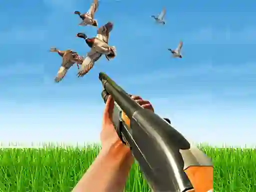Laro Bird Hunting online