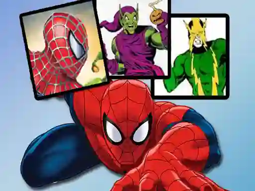 Laro Spiderman Match Cards online