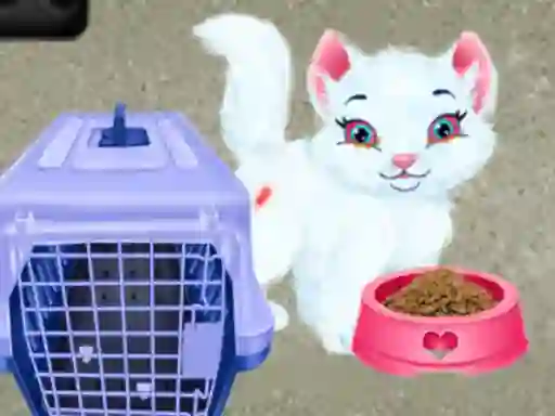 Laro Baby Taylor Pet Care online