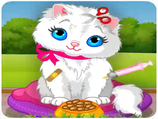 Laro Vet Cat Clinic online