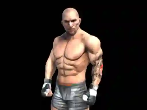 Laro Fight Arena Online online