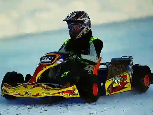 Laro Kart Racing Jigsaw online