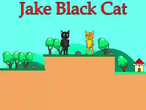 Laro Jake Black Cat online