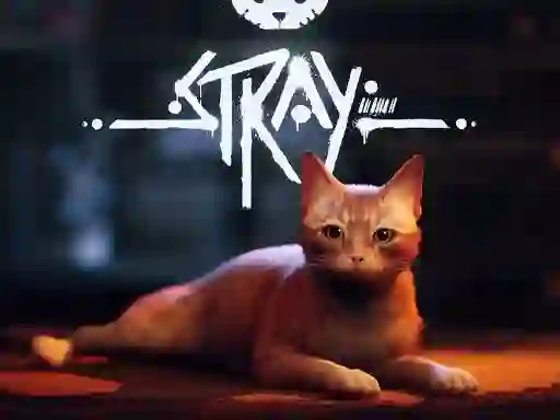 Laro Stray online