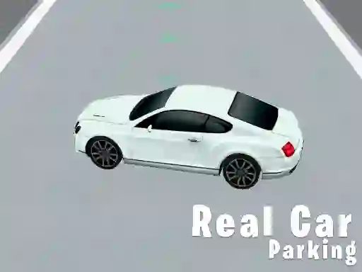 Laro Real Car Parking online
