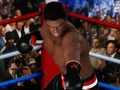 Laro Ultimate boxing online