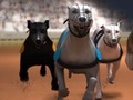 Laro Greyhound racing online