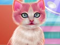 Laro Kitty Dental Careing  online