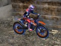 Laro Moto Trials Industrial online