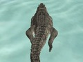Laro Crocodile Simulator Beach Hunt online