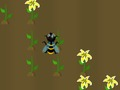 Laro Nectar Harvest online