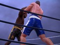 Laro Boxing Club online