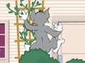 Laro Tom und Jerry: Wasserbomben Wahnsinn online