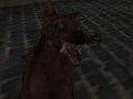 Laro Nazi Zombie Army online