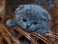 Laro Itinaas ng Jigsaw Puzzle: Pusa  online