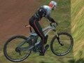 Laro Downhill Rush online