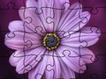 Laro Itinaas ng Jigsaw Puzzle Summer  online