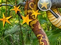Laro Mga Nakatagong Bituin ng Jungle online