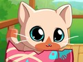 Laro Ang aking bulsa alagang hayop kitty cat online