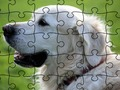 Laro Jigsaw puzzle domesticated hayop online