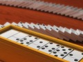 Laro Domino Multiplayer online