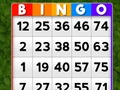 Laro Bingo online