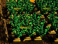 Laro Pixel Farm online
