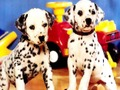 Laro Puppy Pares Palaisipan  online