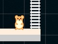 Laro Oras ng Smart Hamster  online