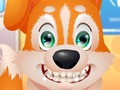 Laro Cute Puppy Dentista  online