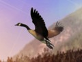 Laro Duck Hunter online