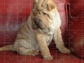 Laro Itinaas ng Jigsaw Puzzles Classic  online