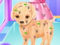 Laro Surgery ng Baby Elsa Puppy online