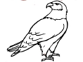Laro Book ng Pangkulay Eagle  online