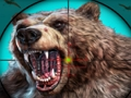 Laro Wild Bear Hunting online