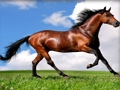 Laro Mga Itinaas na Jigsaw Puzzle Horses  online