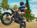 Laro Dirt Bike Enduro Karera  online