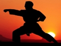 Laro Karate Sunset Warriors online