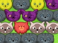 Laro Mga pop-pop kitties  online