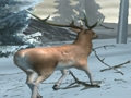 Laro Forest Hunter online