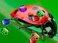 Laro Ladybug match3 online